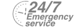 24/7 Emergency Service Pest Control in Worcester Park, Cuddington, Stoneleigh, KT4. Call Now! 020 8166 9746