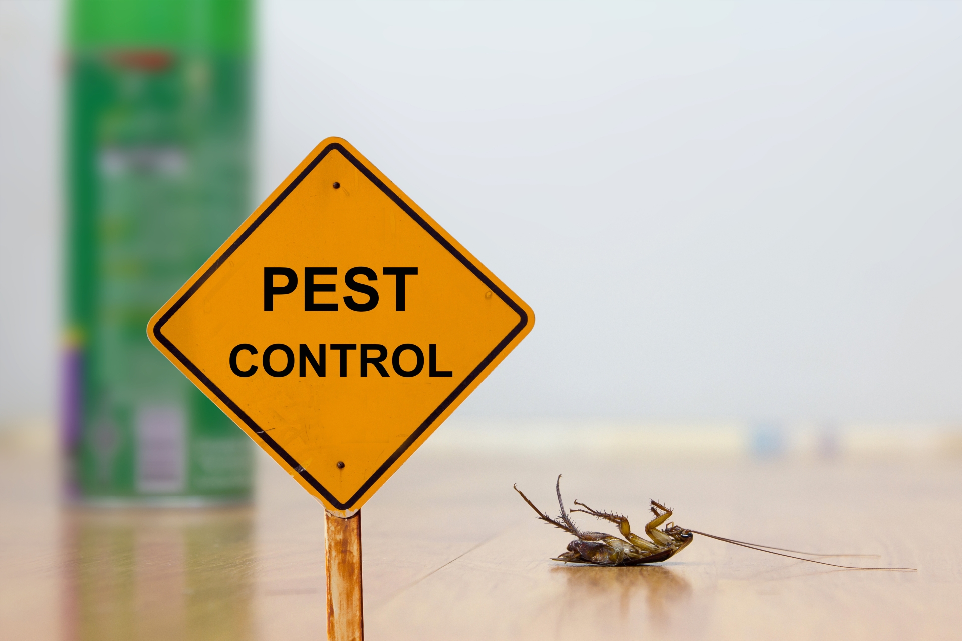24 Hour Pest Control, Pest Control in Worcester Park, Cuddington, Stoneleigh, KT4. Call Now 020 8166 9746
